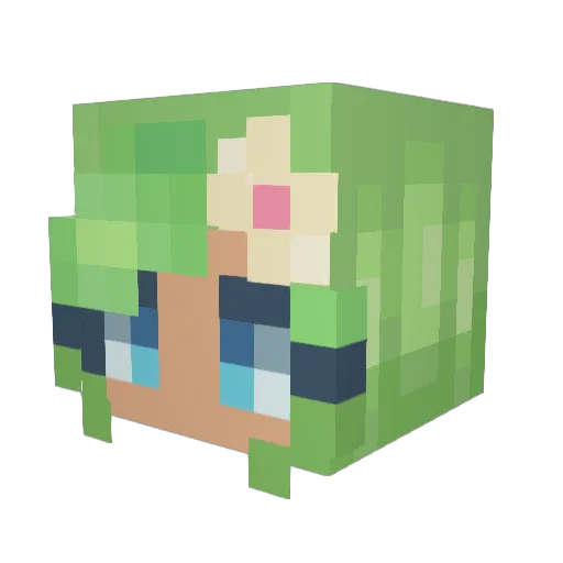 Kiwiguru Minecraft avatar head, 3D render