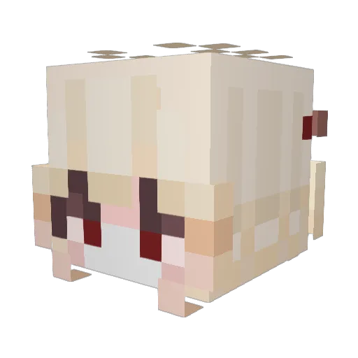 KiwiiComQueijo Minecraft avatar head, 3D render