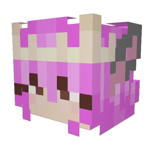 Kiwii_Toast Minecraft avatar head, 3D render