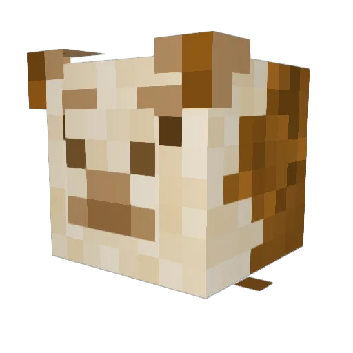 KiwikZz Minecraft avatar head, 3D render