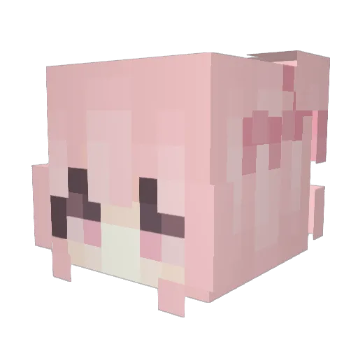 Kiwiko713 Minecraft avatar head, 3D render