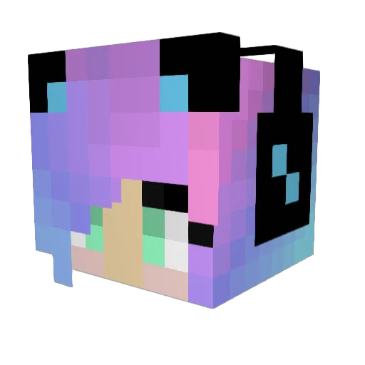 Kiwily05 Minecraft avatar head, 3D render