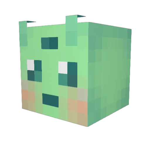 Kiwipae Minecraft avatar head, 3D render