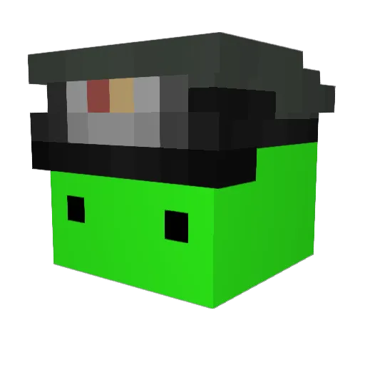 Kiwipidy Minecraft avatar head, 3D render