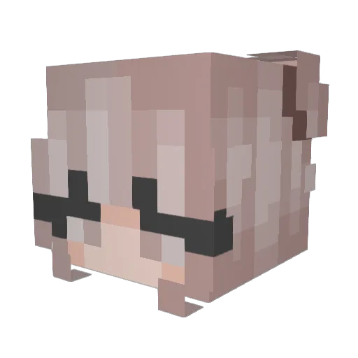Kiwistela Minecraft avatar head, 3D render