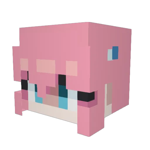 Kiwitheyapper Minecraft avatar head, 3D render