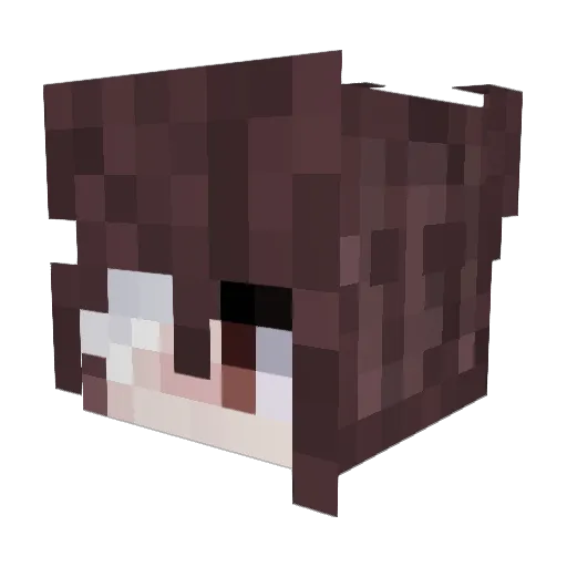 Kiwixn Minecraft avatar head, 3D render