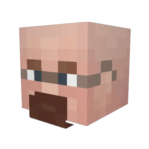 Kiwiz2249 Minecraft avatar head, 3D render
