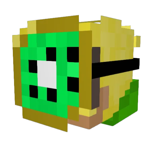 KiwizWRLD Minecraft avatar head, 3D render