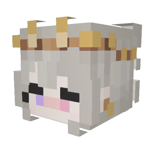 Kiwizchi Minecraft avatar head, 3D render