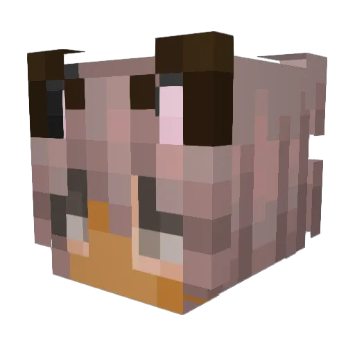 Kiwwyyy Minecraft avatar head, 3D render