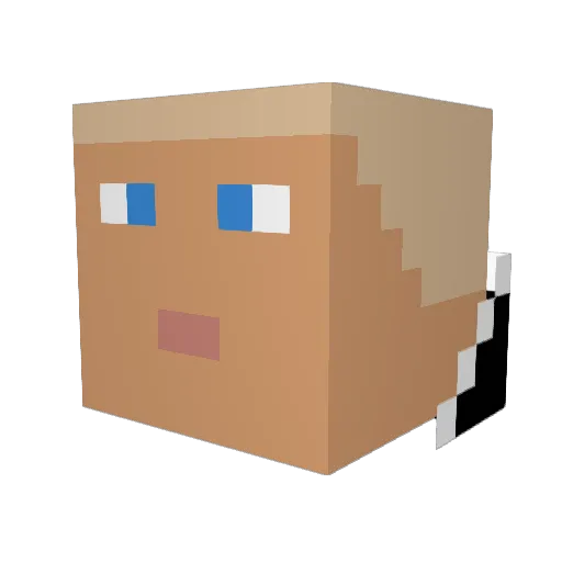 Kixzy1x Minecraft avatar head, 3D render