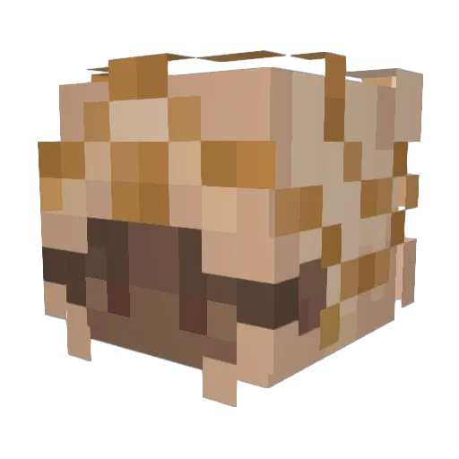 Kizatsu_Off Minecraft avatar head, 3D render