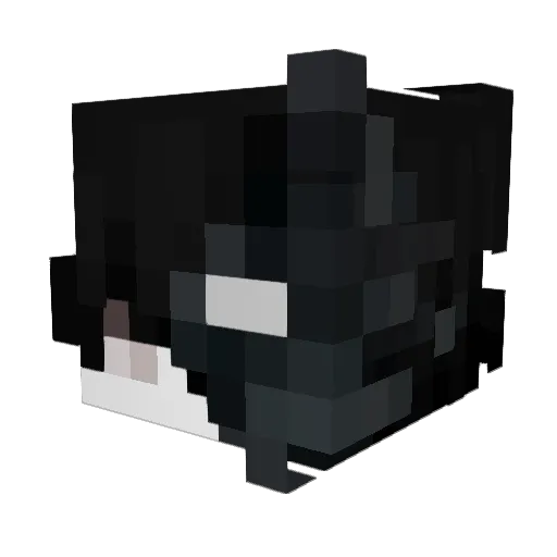 Kizumaflex Minecraft avatar head, 3D render