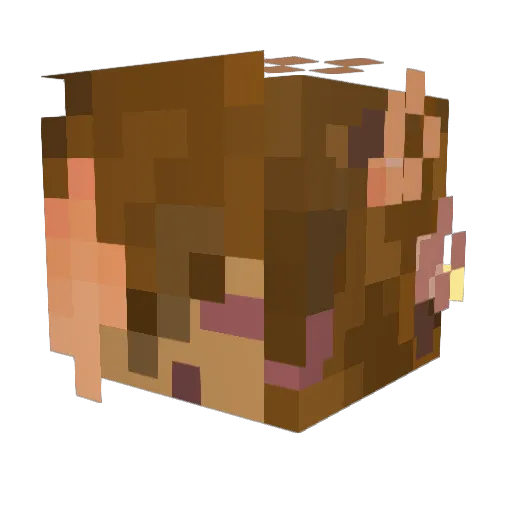 Kizzy0216 Minecraft avatar head, 3D render