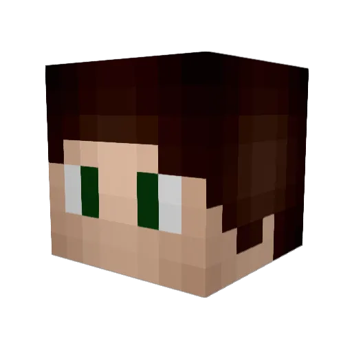 Kjell_009 Minecraft avatar head, 3D render