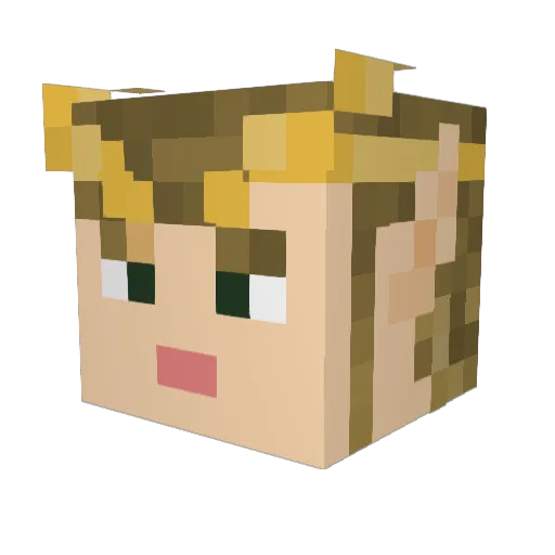 Kjell_M1 Minecraft avatar head, 3D render