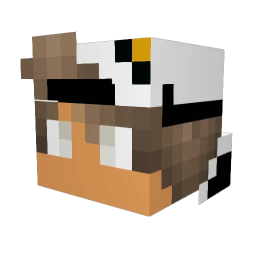 Kjellninho Minecraft avatar head, 3D render