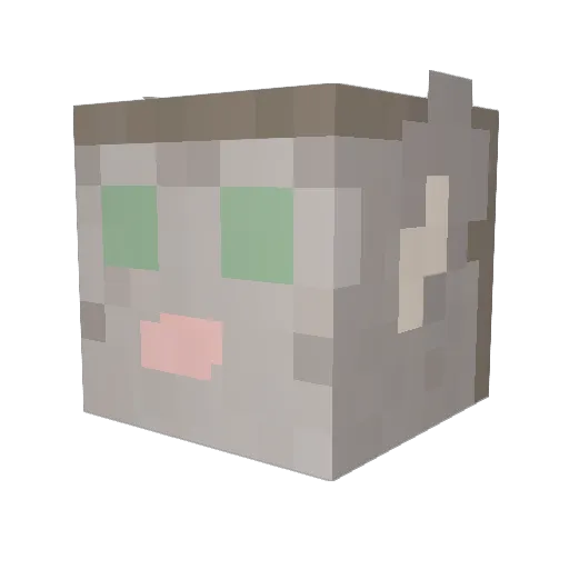 Kjorteo Minecraft avatar head, 3D render