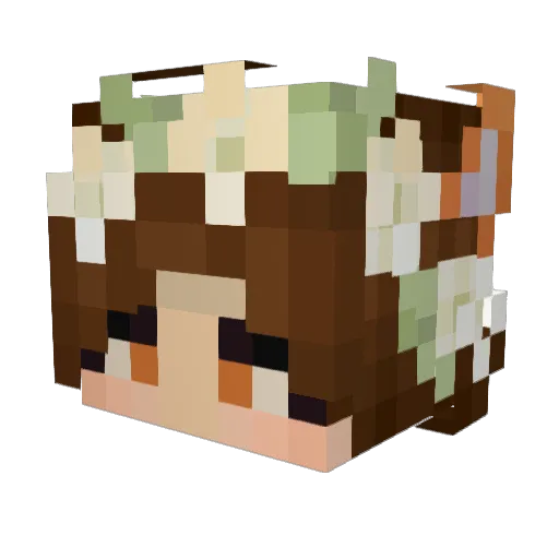 KkLl46 Minecraft avatar head, 3D render