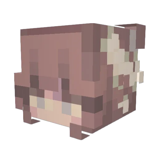 Kkaeb Minecraft avatar head, 3D render