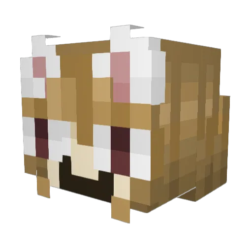 Kkastee Minecraft avatar head, 3D render