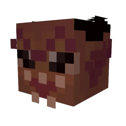 Klaace Minecraft avatar head, 3D render