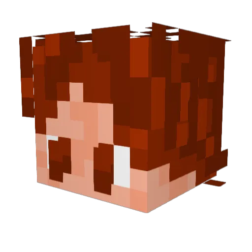 Klaas_pilsbaas Minecraft avatar head, 3D render