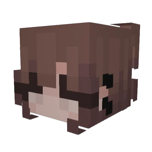 Klaraaa123 Minecraft avatar head, 3D render