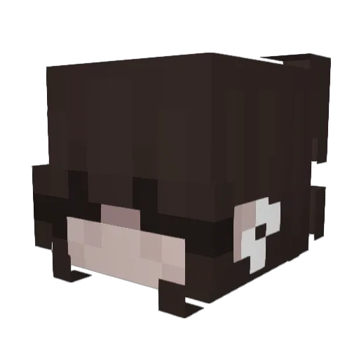 Klarusss79 Minecraft avatar head, 3D render