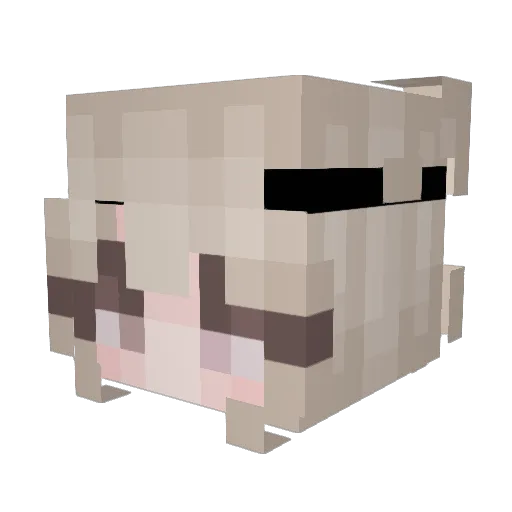 Klau Minecraft avatar head, 3D render