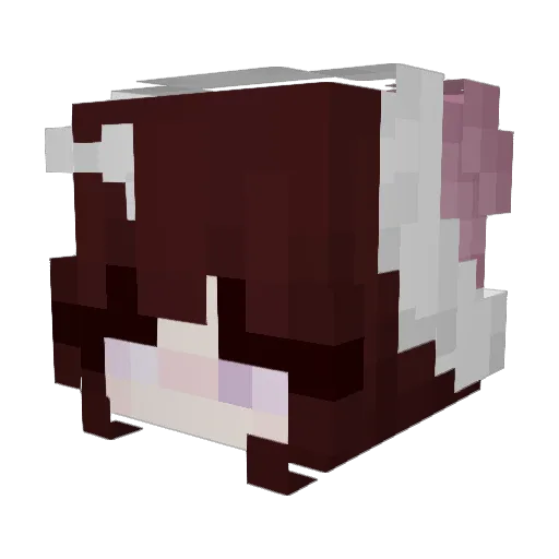 Klaudyna00 Minecraft avatar head, 3D render