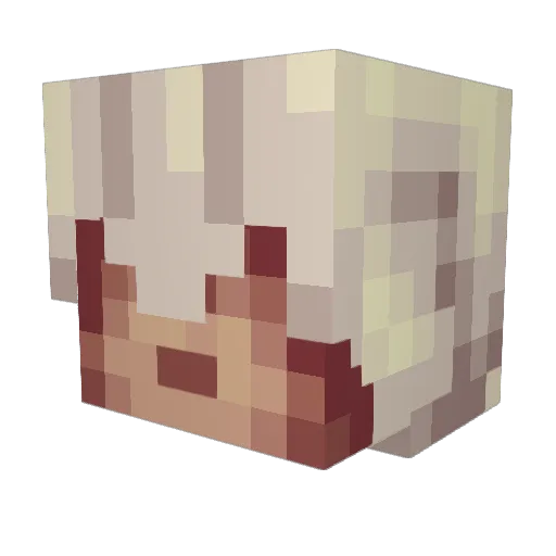 Klaus6677 Minecraft avatar head, 3D render