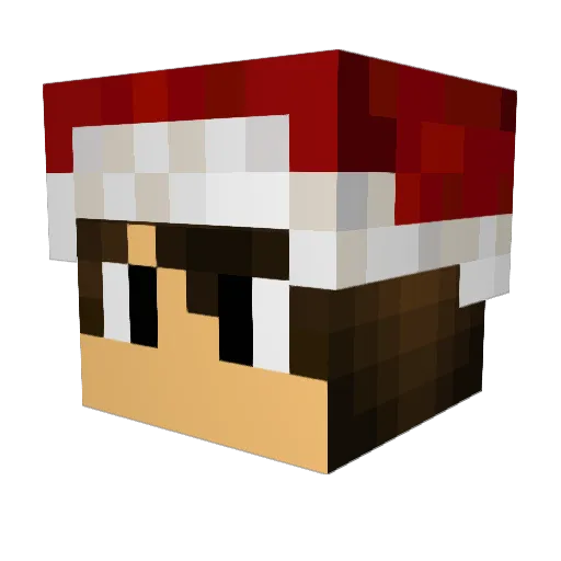 Klausi_hozi Minecraft avatar head, 3D render