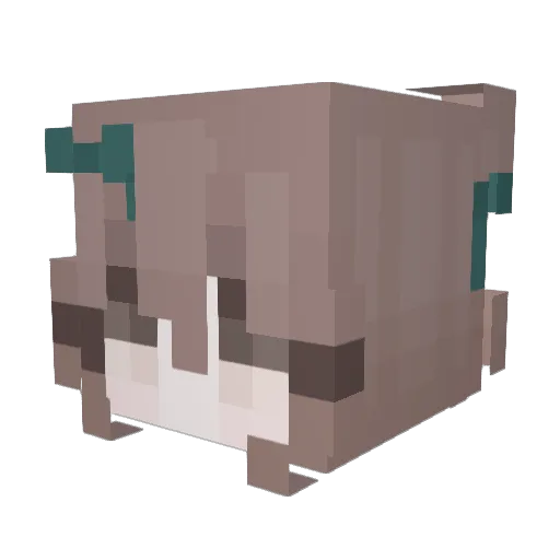 Kleeigh Minecraft avatar head, 3D render