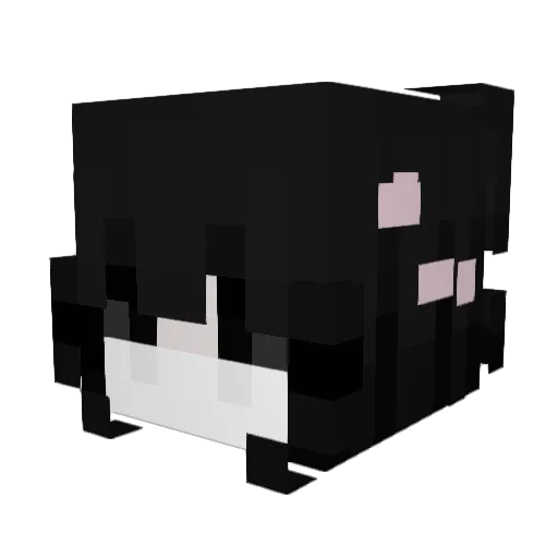 Klefa Minecraft avatar head, 3D render