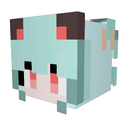 Klein9821 Minecraft avatar head, 3D render
