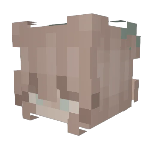 Klein_Ina Minecraft avatar head, 3D render