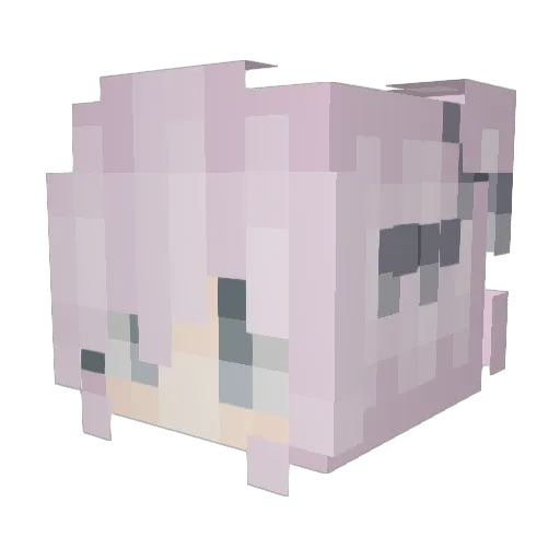 Kleinae Minecraft avatar head, 3D render