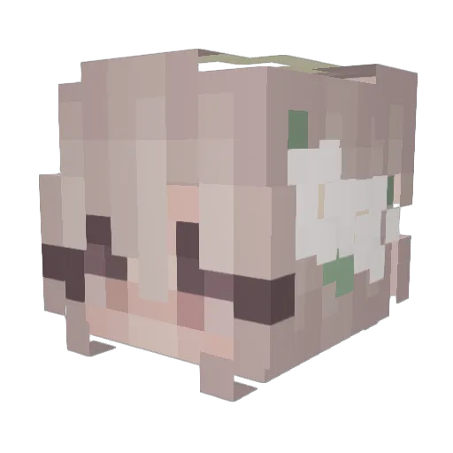 Kleinastern Minecraft avatar head, 3D render
