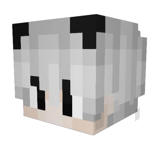 KleinerBarsch Minecraft avatar head, 3D render