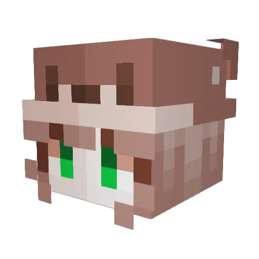 KleinerOttter Minecraft avatar head, 3D render