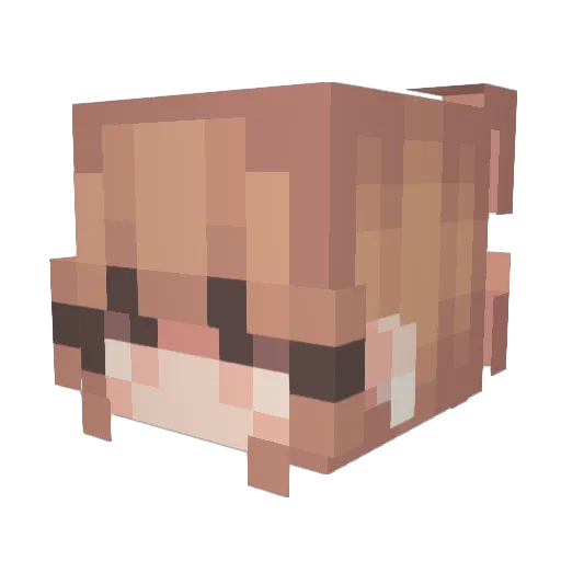 KleinerStern18 Minecraft avatar head, 3D render