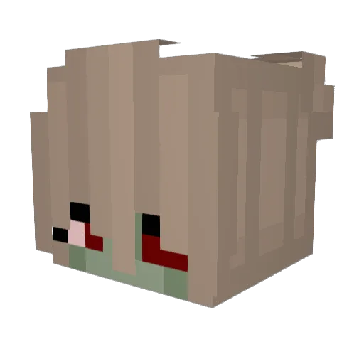 KleinesAmy Minecraft avatar head, 3D render