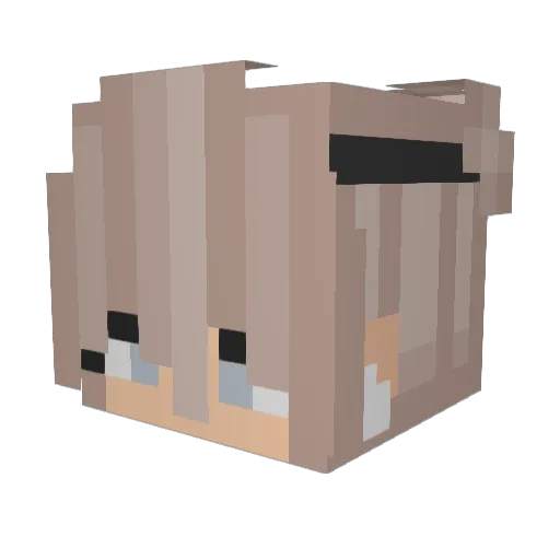 KleinesIaahh Minecraft avatar head, 3D render