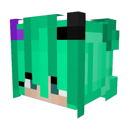KleinesSeeley Minecraft avatar head, 3D render