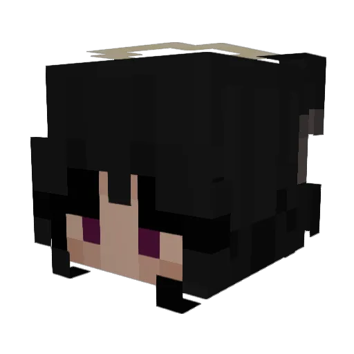 Kleinhalbi Minecraft avatar head, 3D render