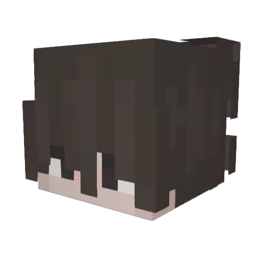 Kleinschreibung Minecraft avatar head, 3D render