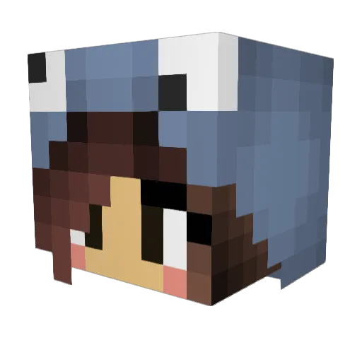 Kleintje1 Minecraft avatar head, 3D render