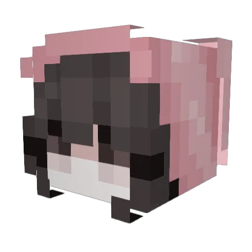 Minecraft-Avatar von KlenKumajiro: Kopf als 3D-Render